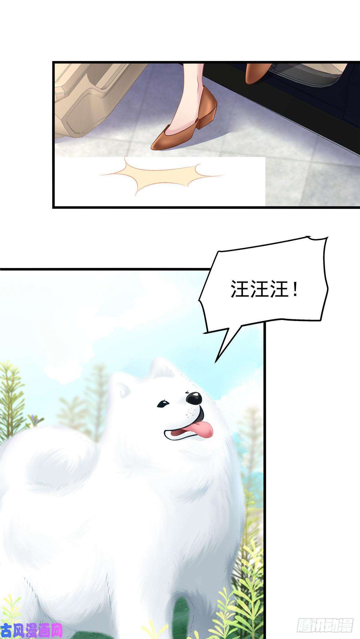 老公每天换人设11