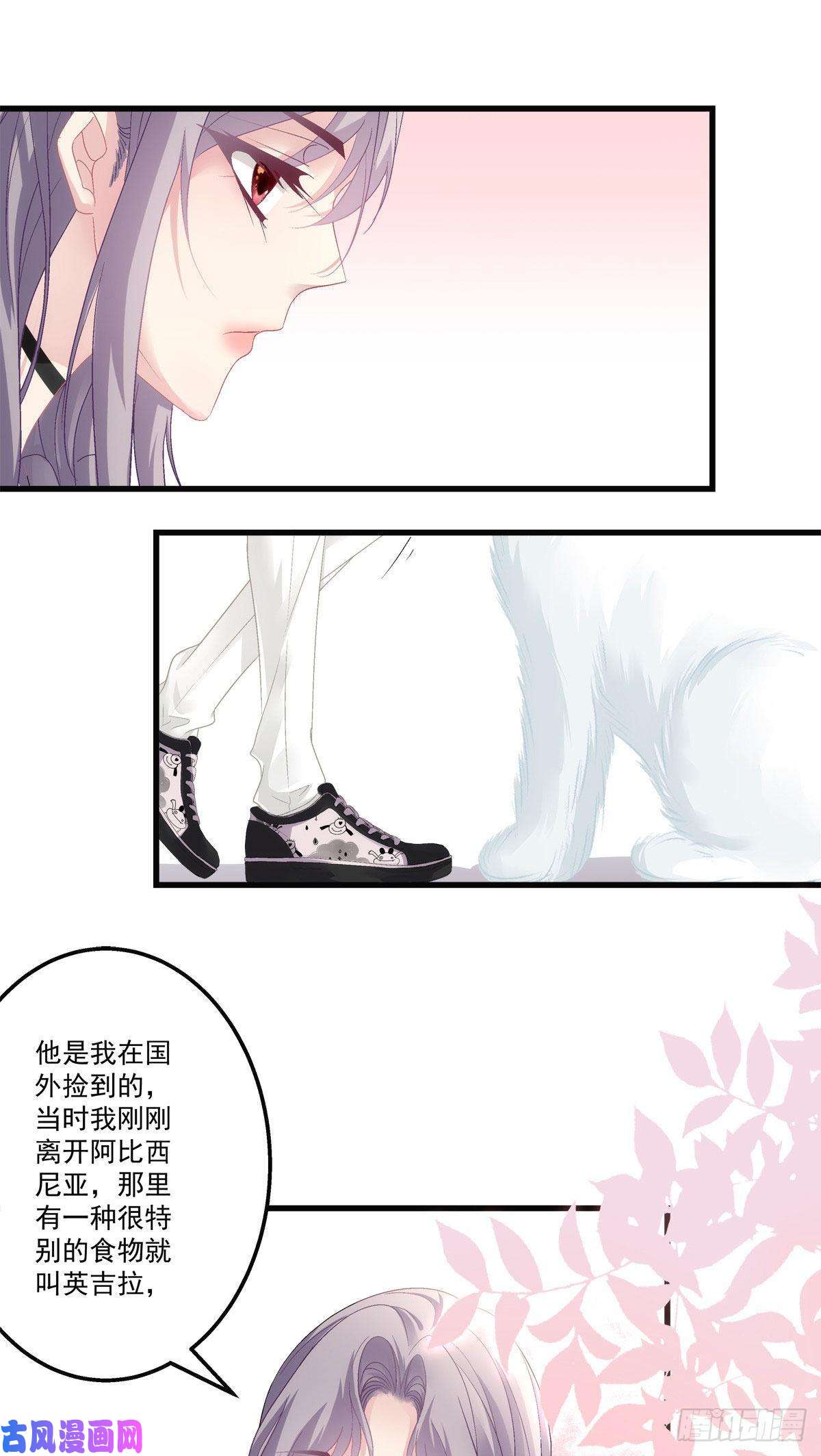 老公每天换人设31