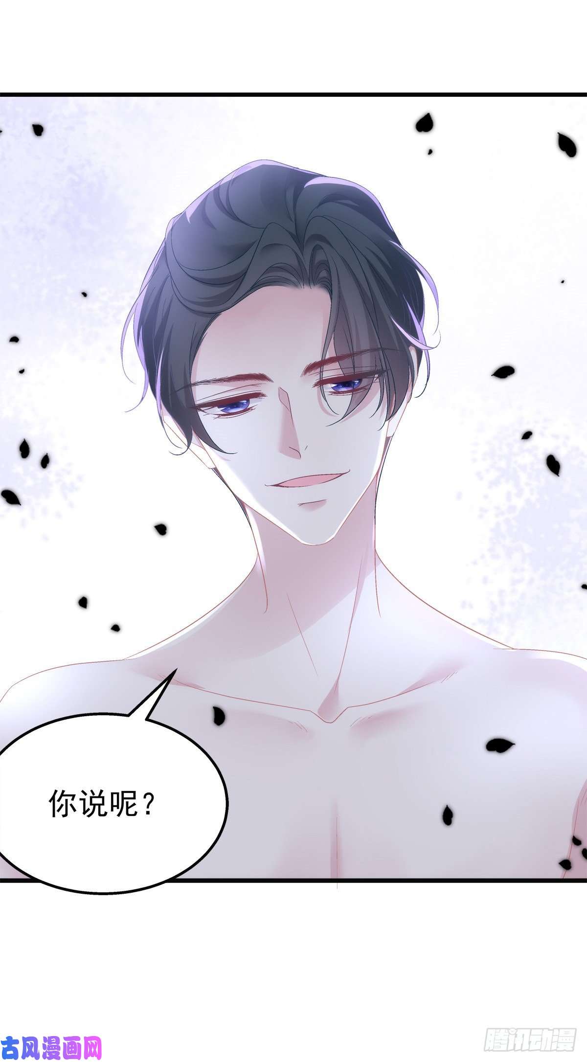 老公每天换人设44