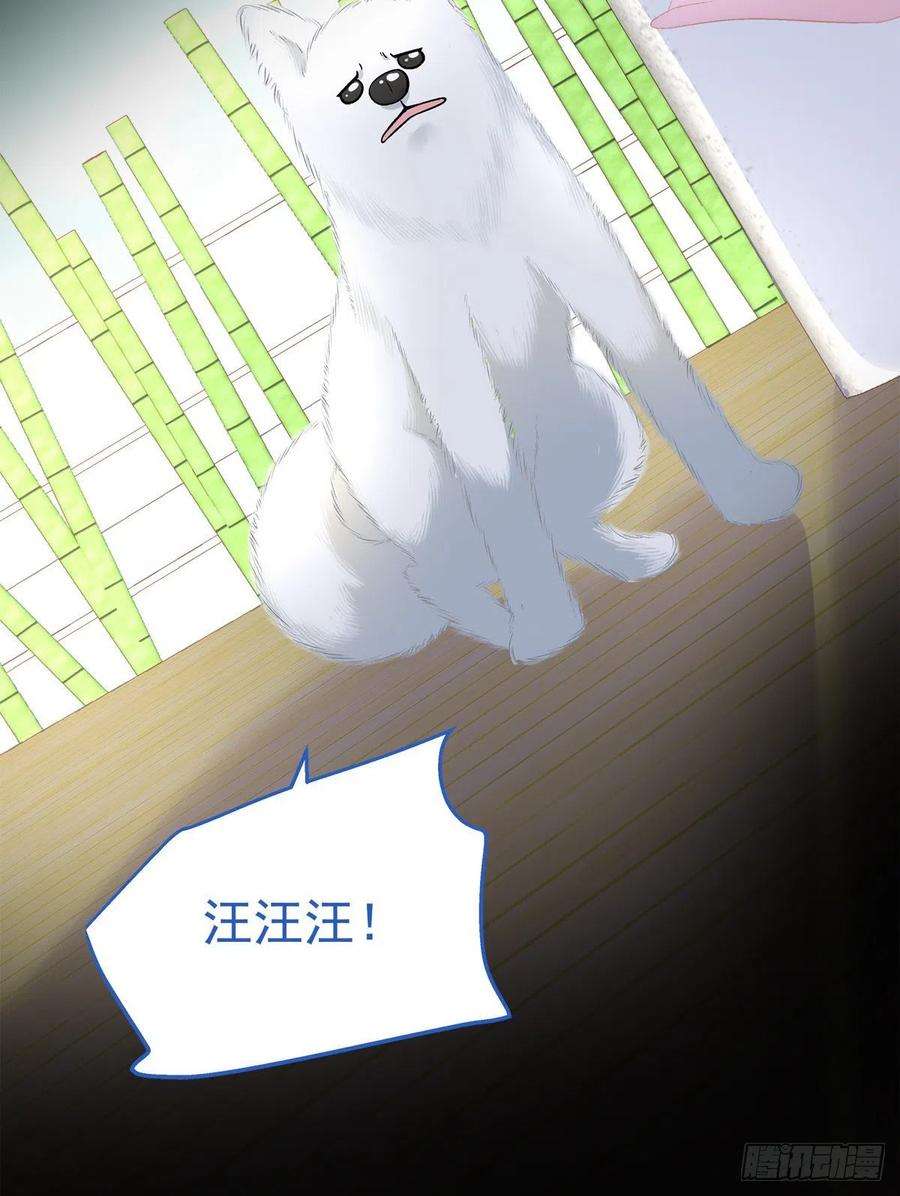 老公每天换人设59