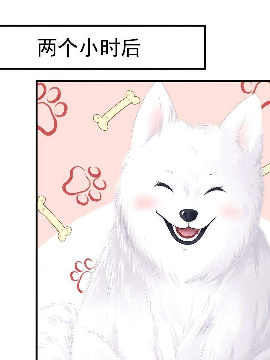 老公每天换人设80