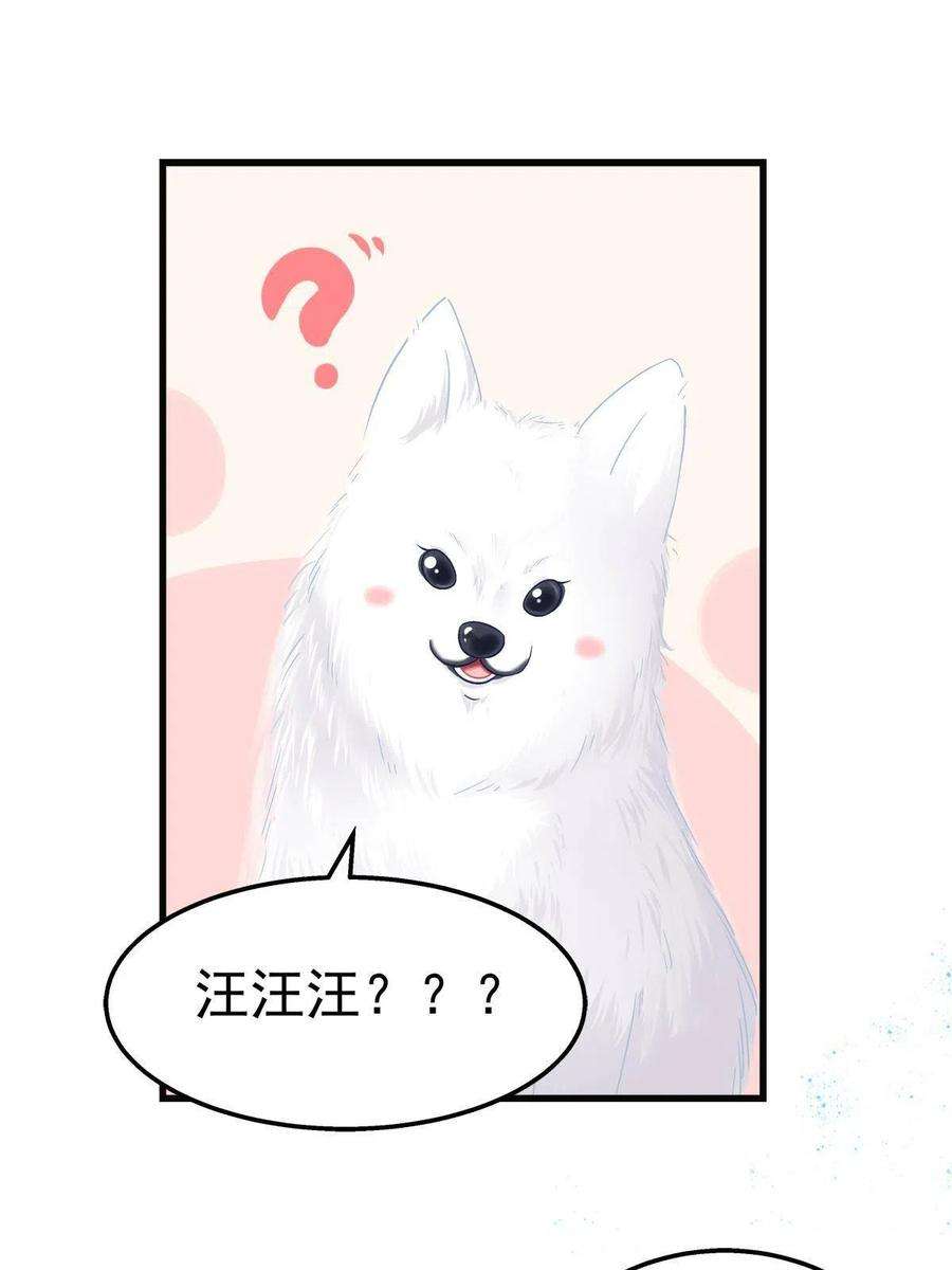 老公每天换人设80