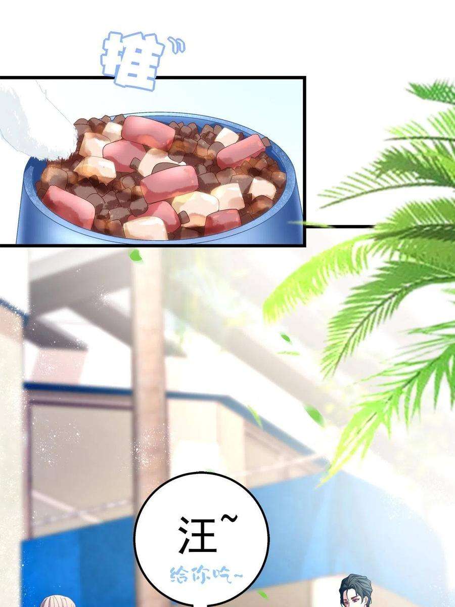 老公每天换人设80