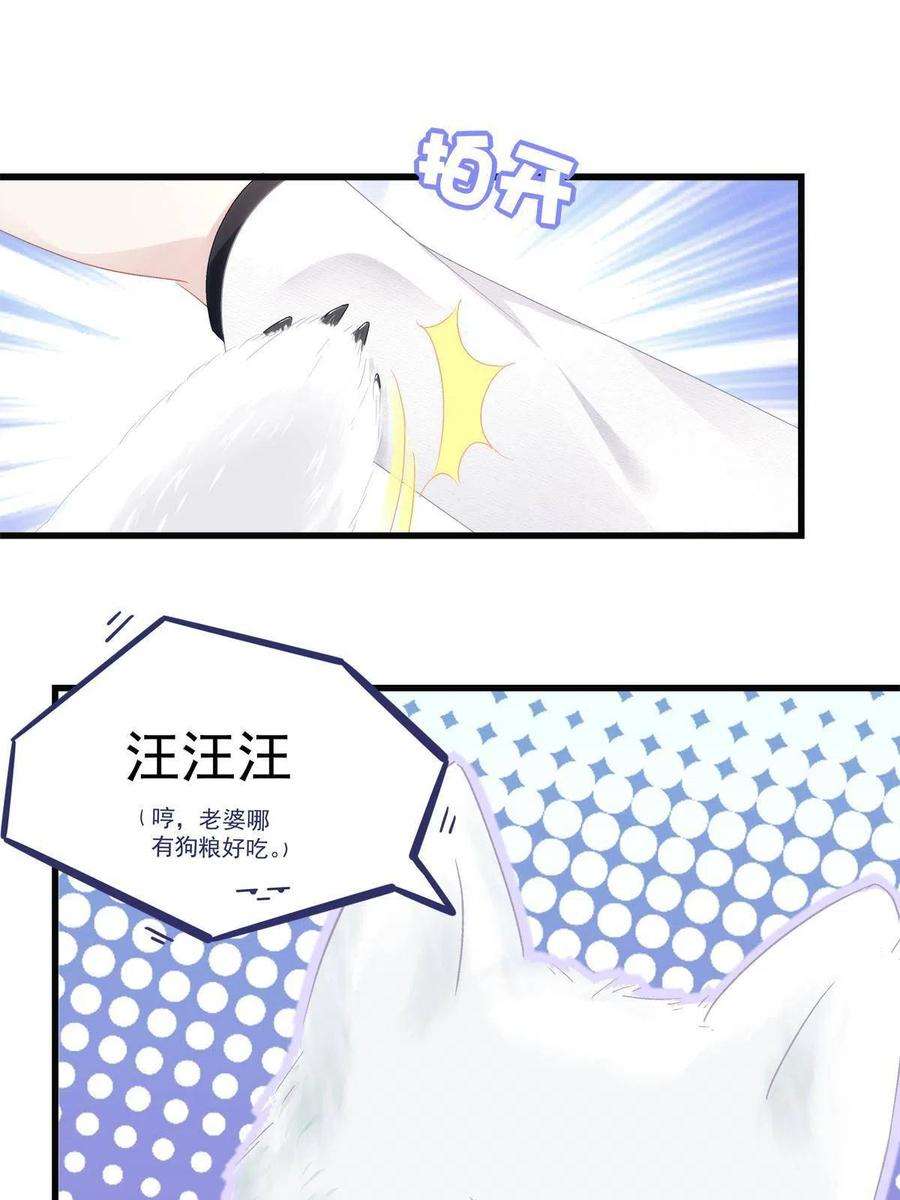 老公每天换人设80
