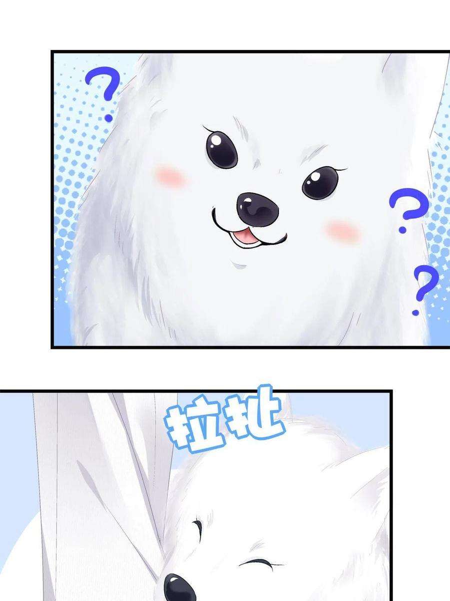 老公每天换人设80