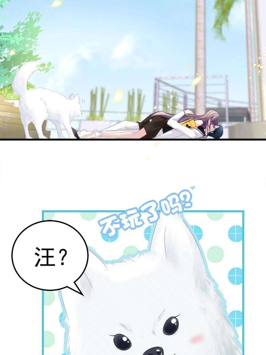 老公每天换人设80