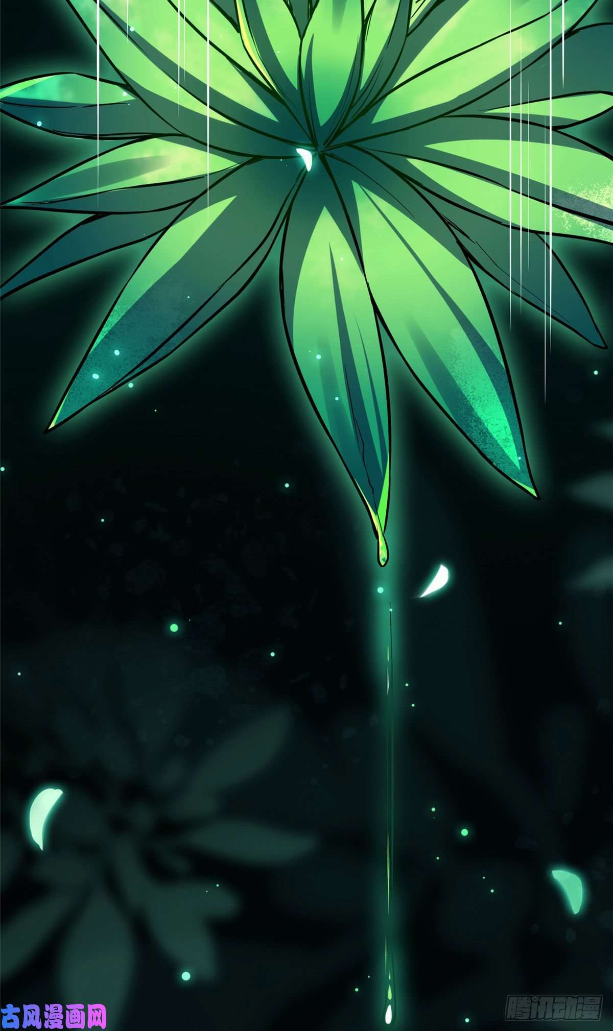 病娇暴君改拿绿茶剧本24 鉴别绿茶的方法