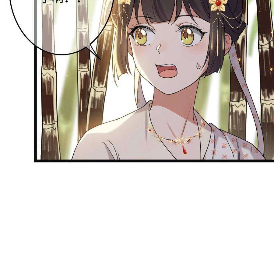 病娇暴君改拿绿茶剧本098 生辰愿望