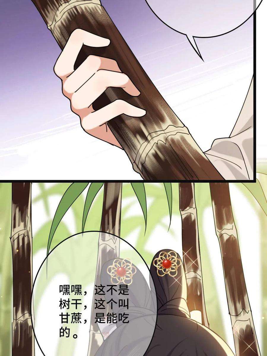 病娇暴君改拿绿茶剧本098 生辰愿望