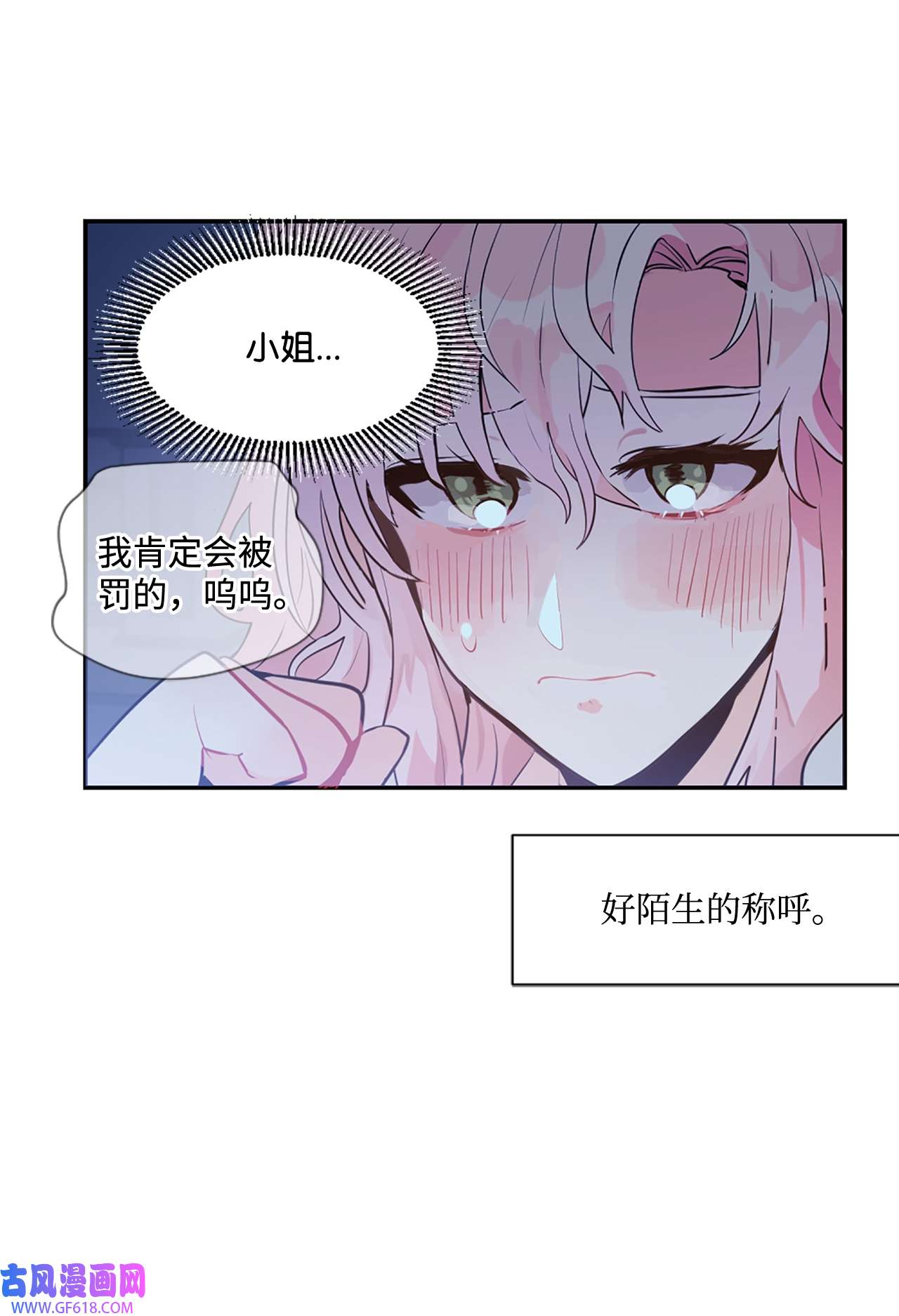 未婚夫每天都想暗杀我2 尝试各种方法