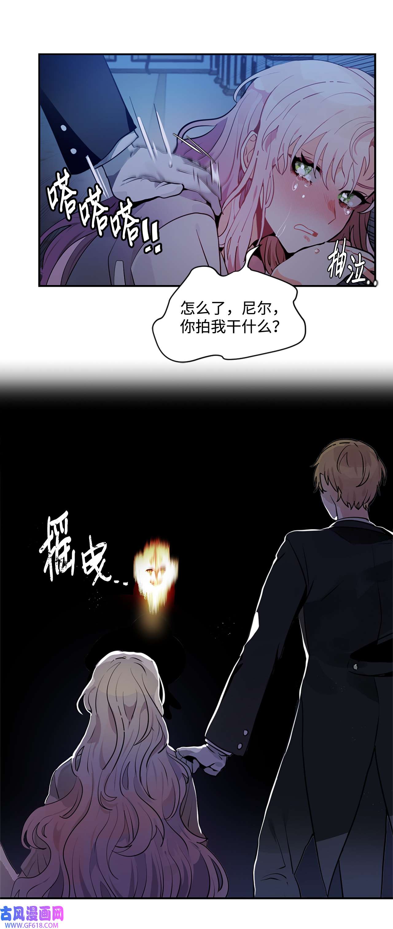 未婚夫每天都想暗杀我2 尝试各种方法