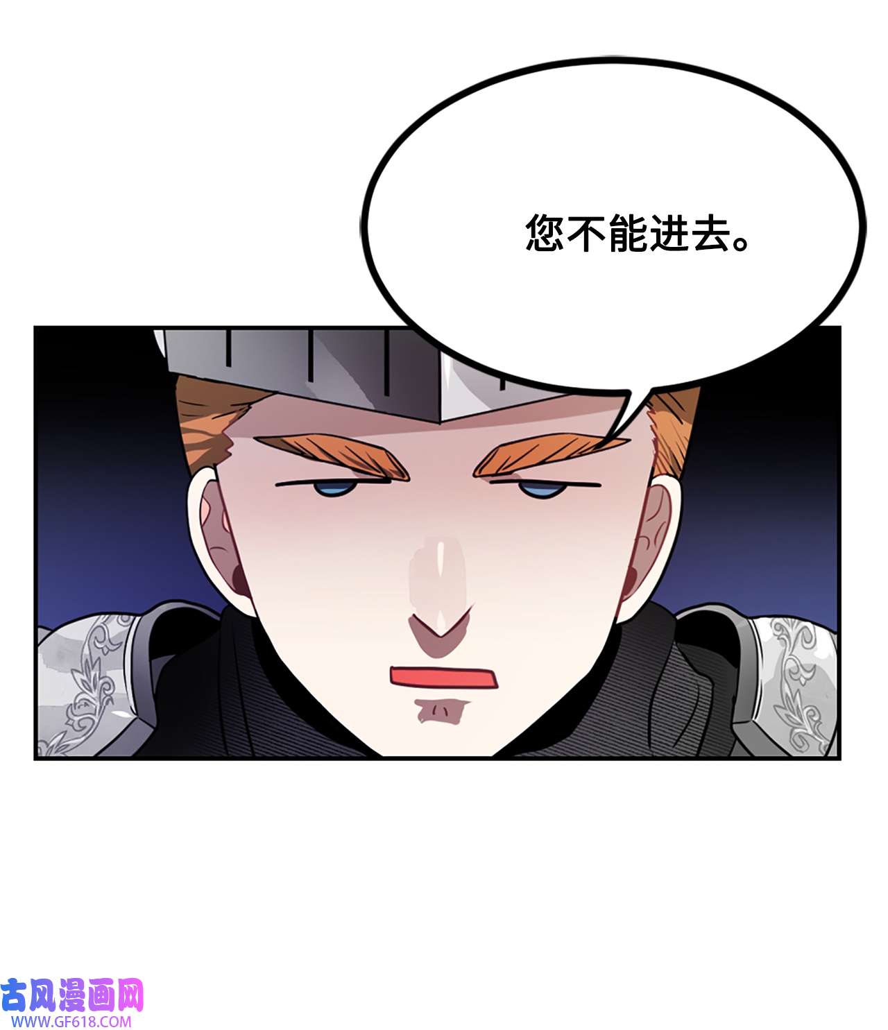 未婚夫每天都想暗杀我25 参加舞会