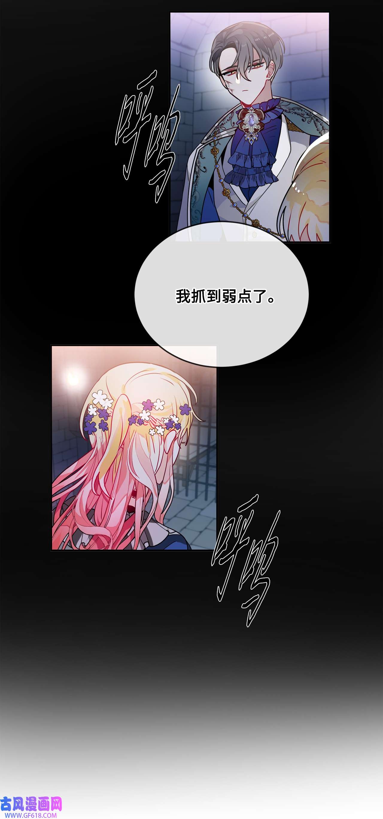 未婚夫每天都想暗杀我41 拒绝说出我的秘密