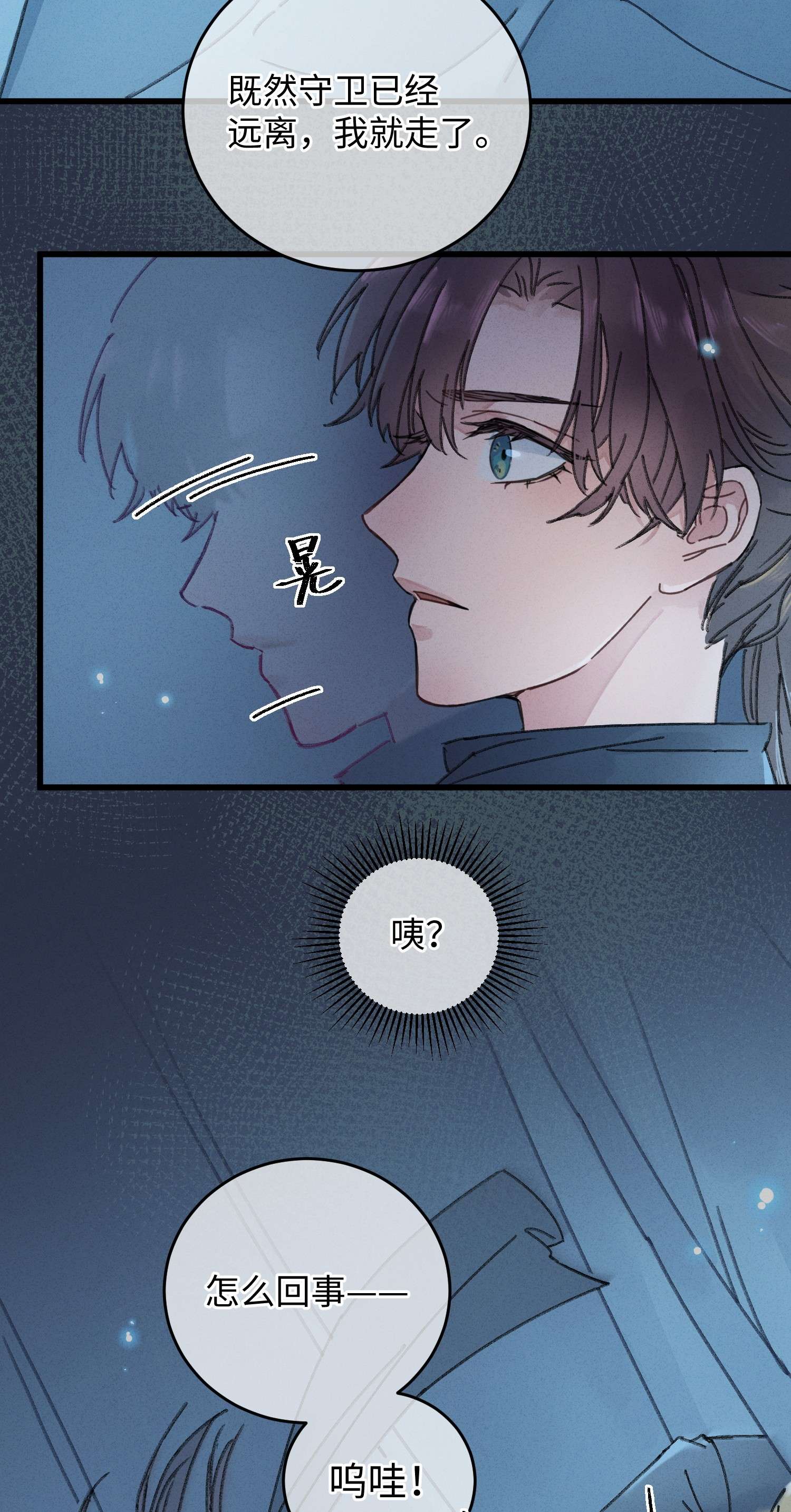 嫁入王府的我，只想搞钱001 小野猫的夜袭