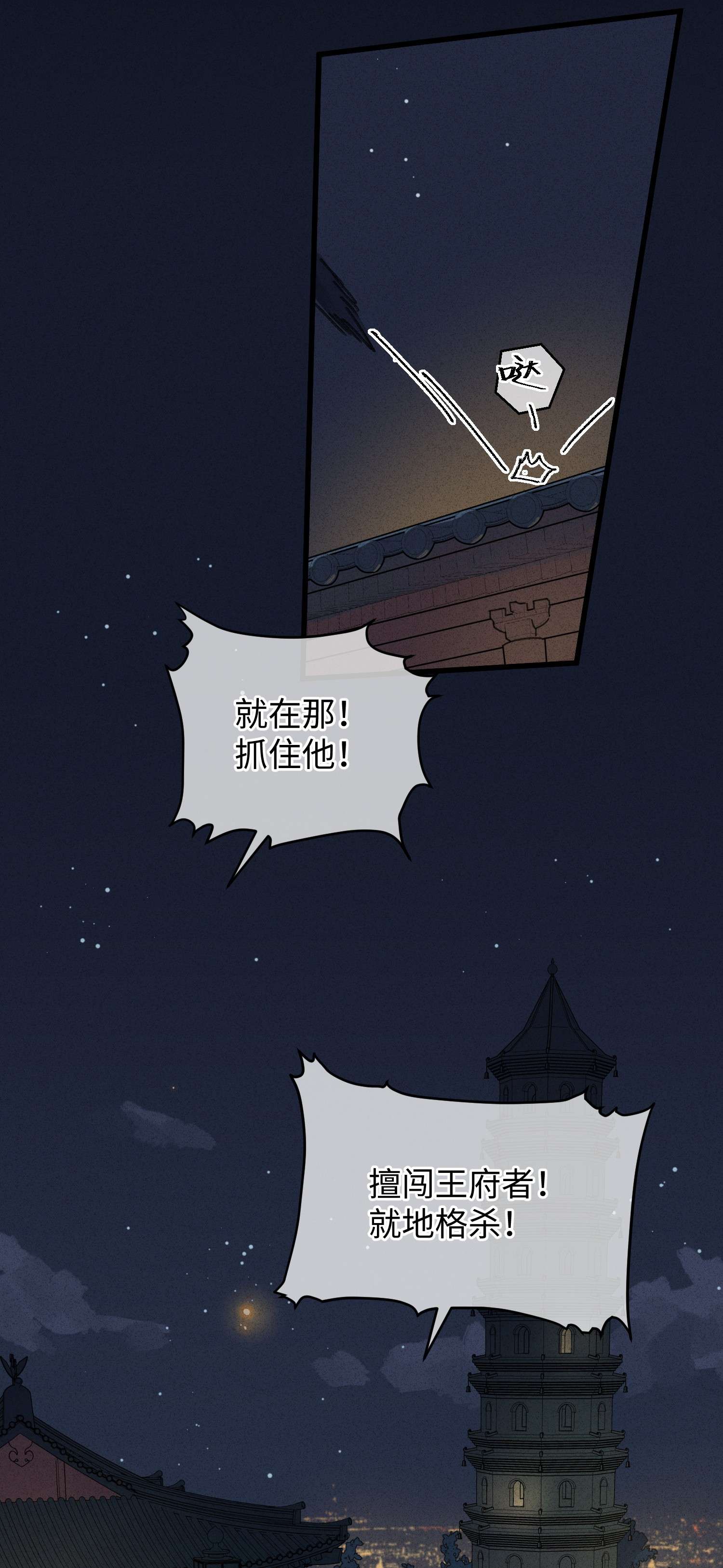 嫁入王府的我，只想搞钱001 小野猫的夜袭