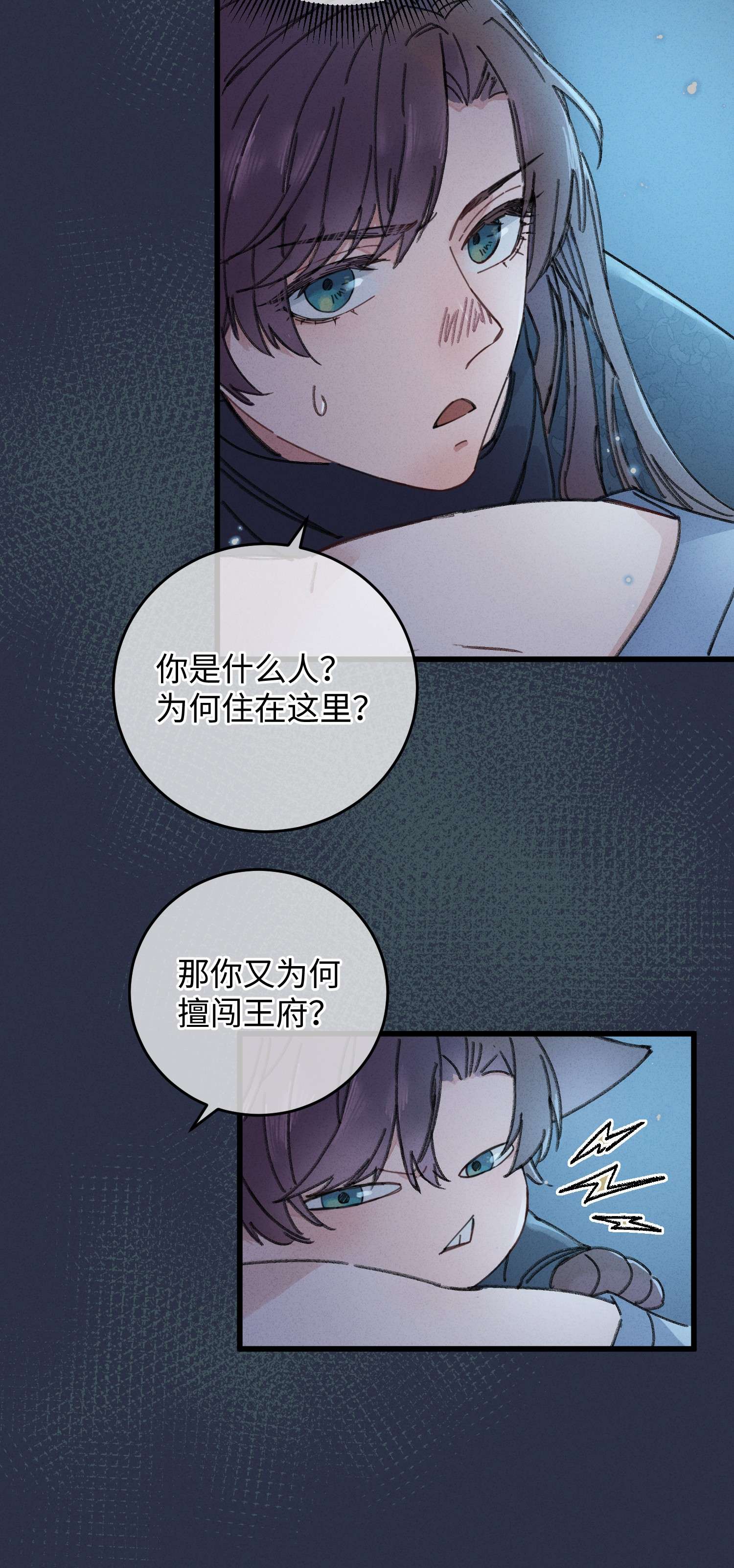 嫁入王府的我，只想搞钱001 小野猫的夜袭