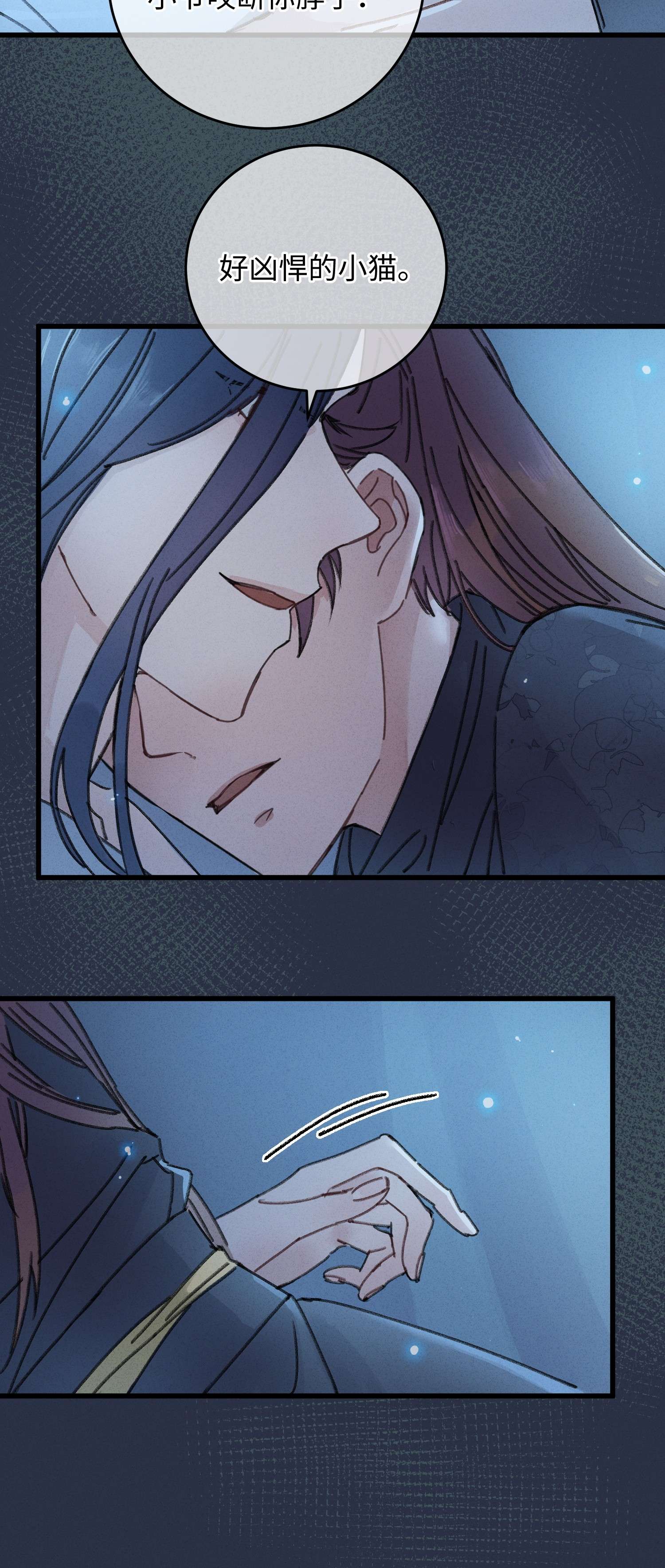 嫁入王府的我，只想搞钱001 小野猫的夜袭