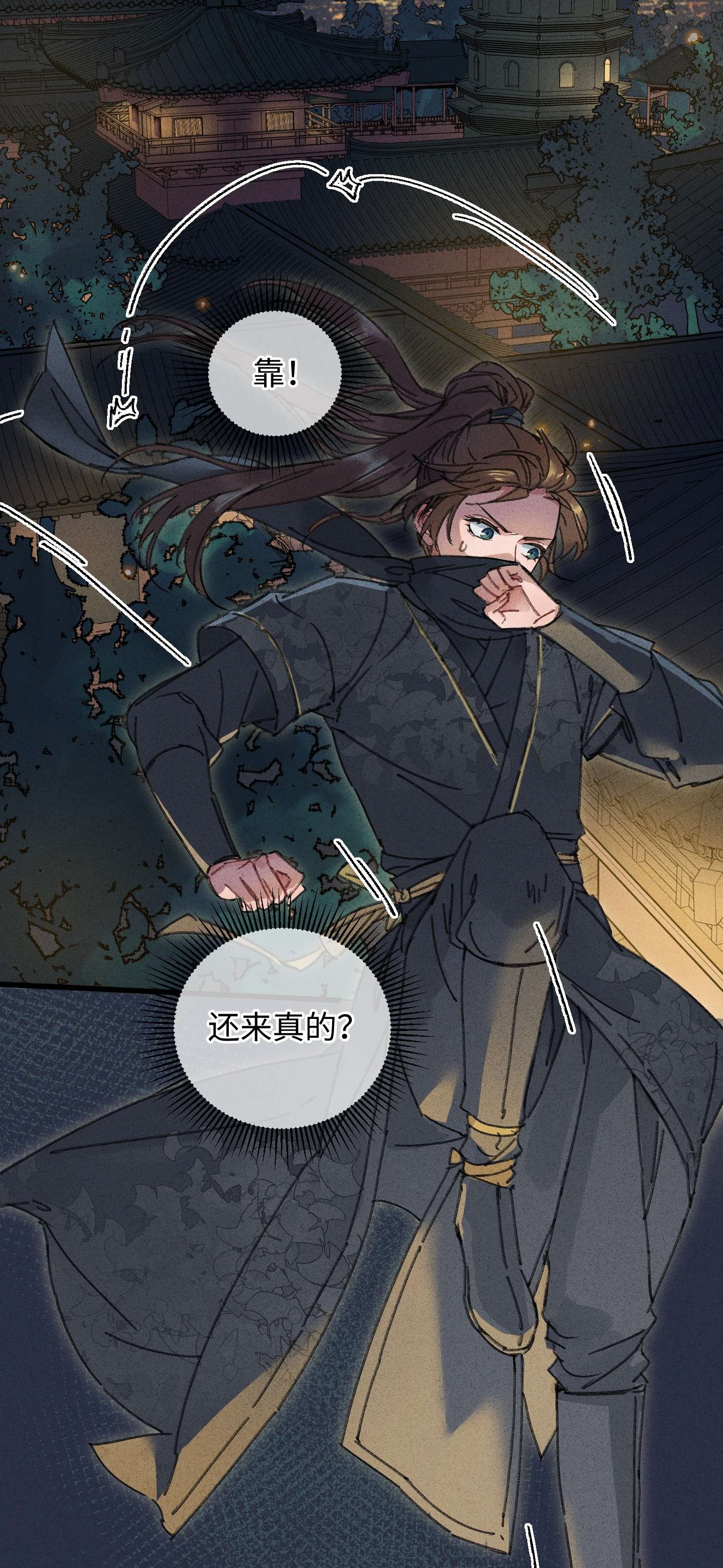 嫁入王府的我，只想搞钱001 小野猫的夜袭