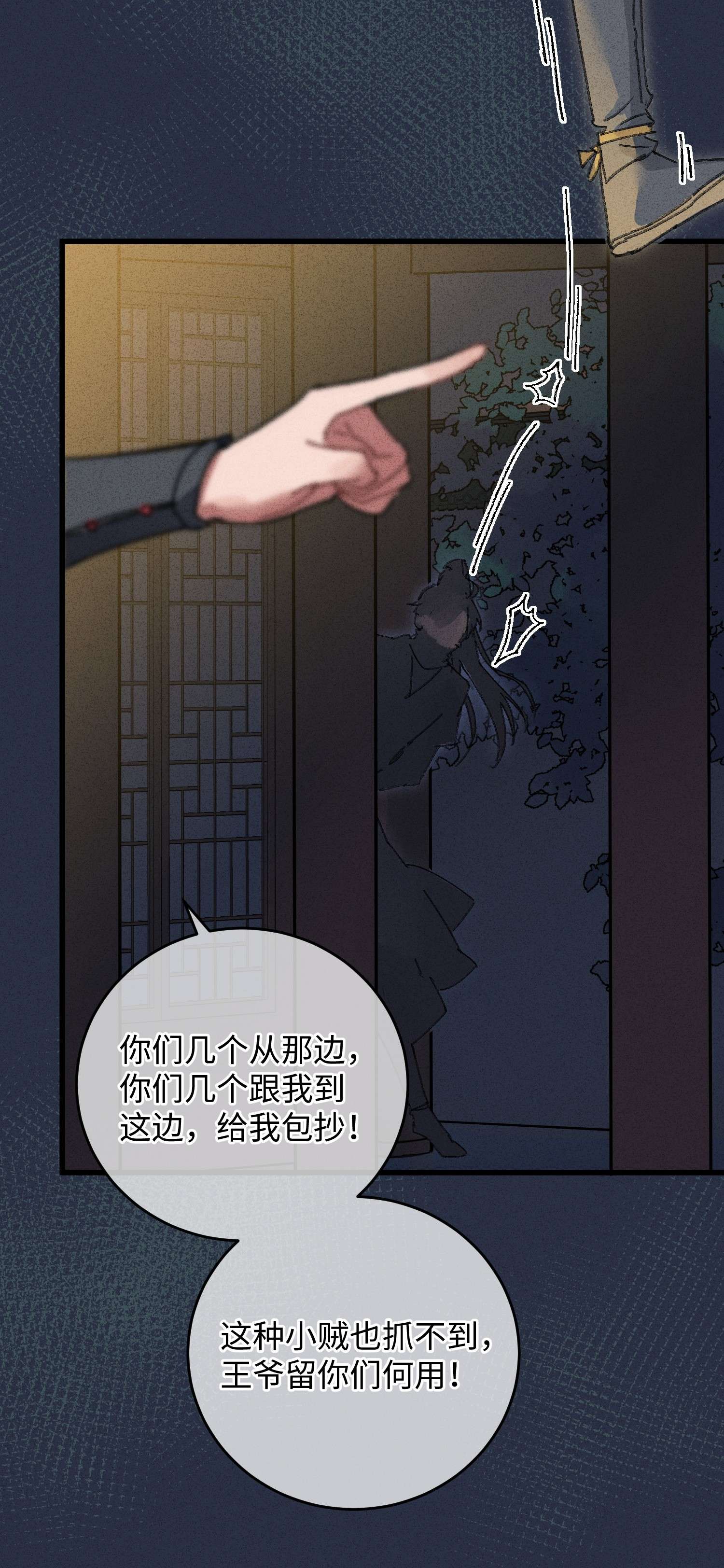 嫁入王府的我，只想搞钱001 小野猫的夜袭