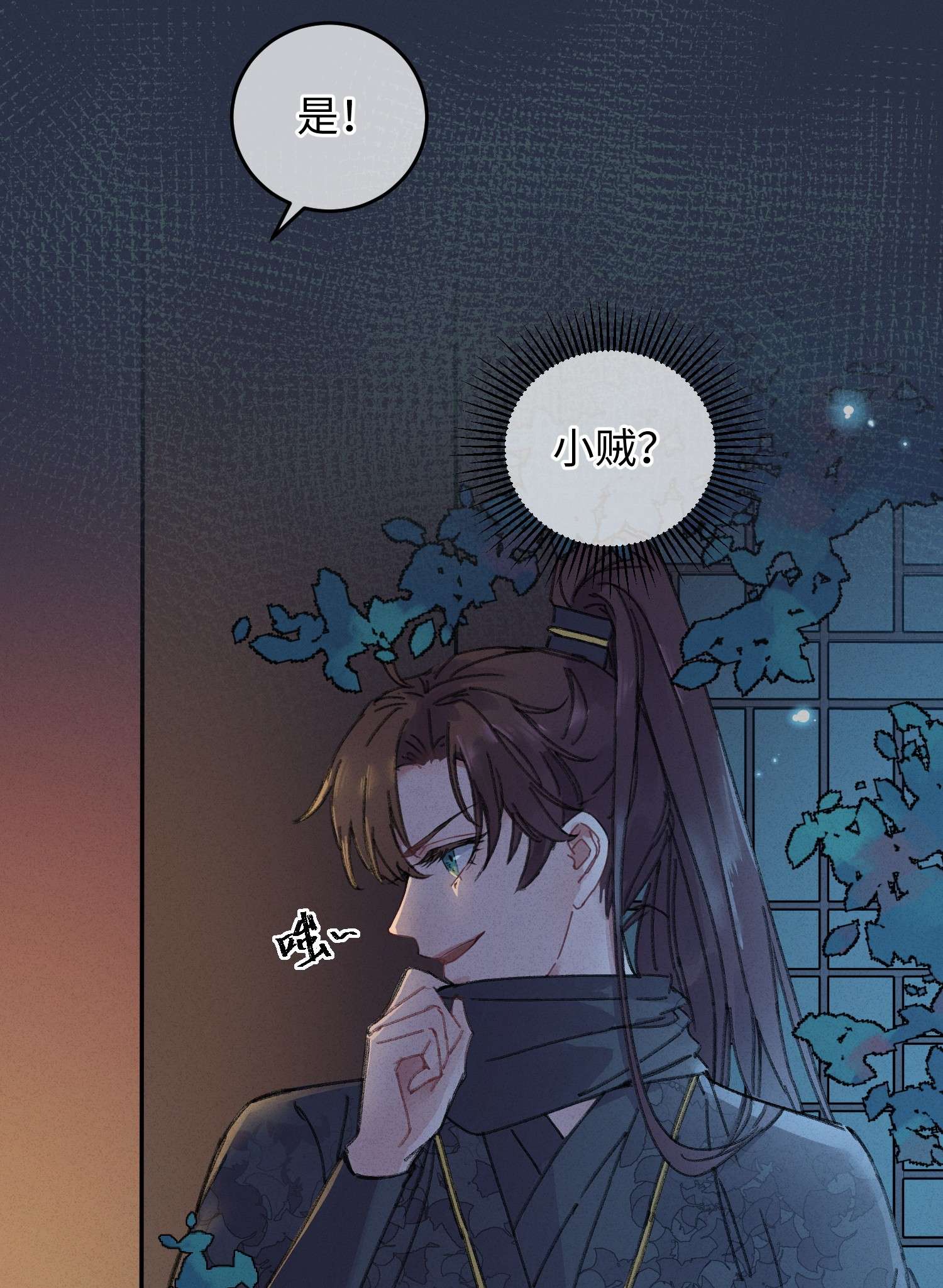 嫁入王府的我，只想搞钱001 小野猫的夜袭