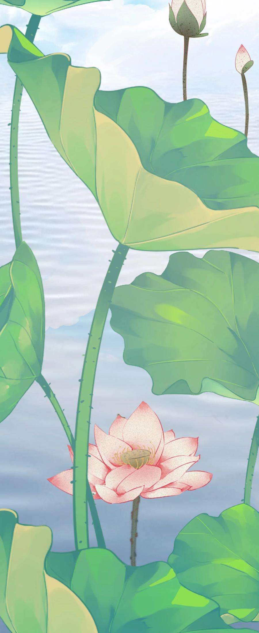 青山看我应如是021 泛舟莲池