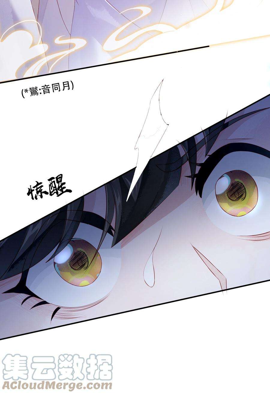 青山看我应如是023 大婚之日