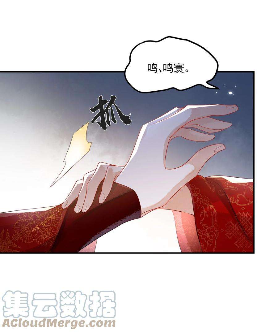 青山看我应如是023 大婚之日