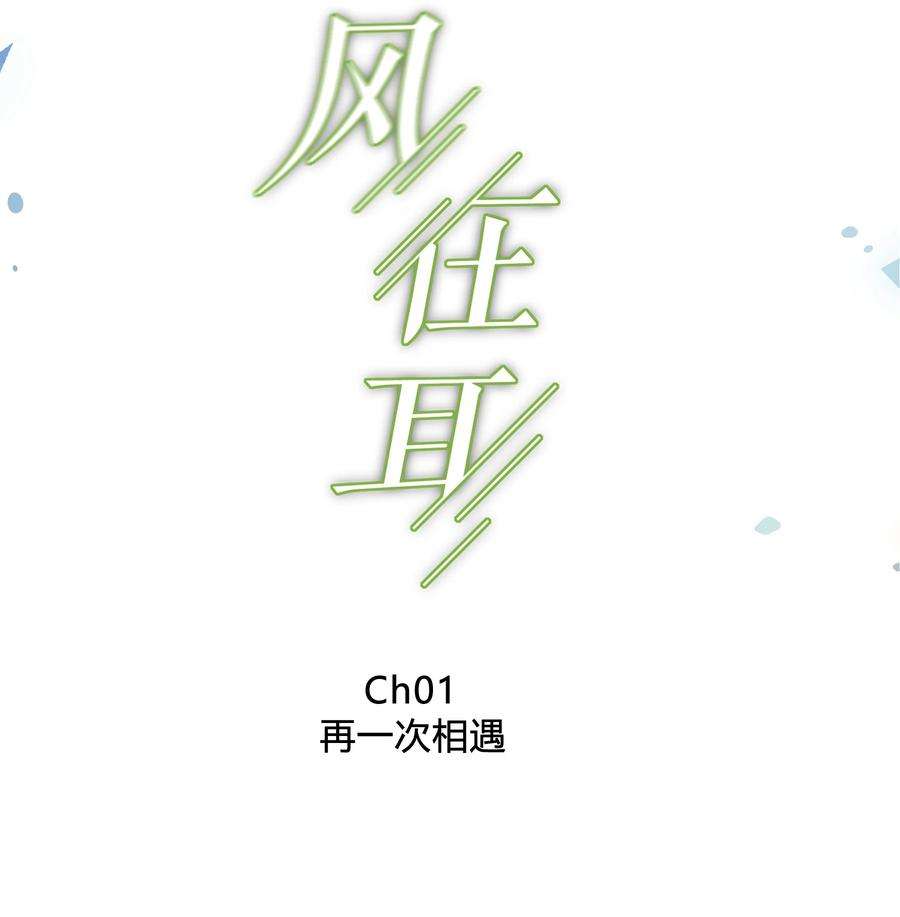 弦风在耳001 再一次相遇