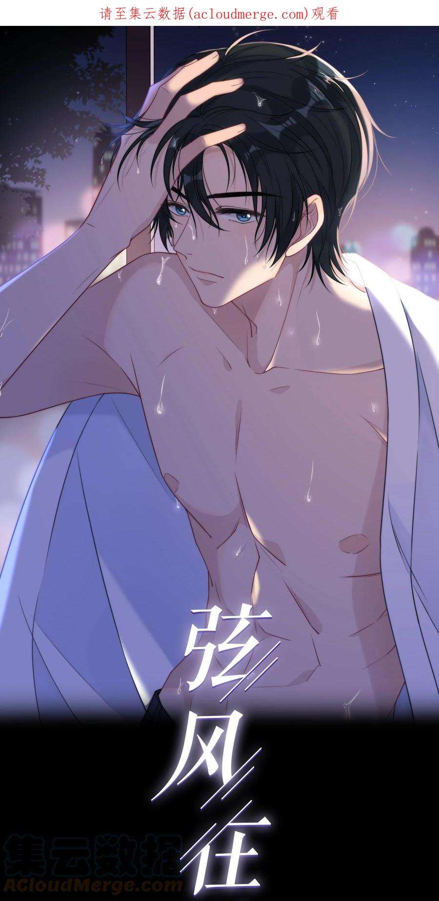 弦风在耳016 动、物、世、界