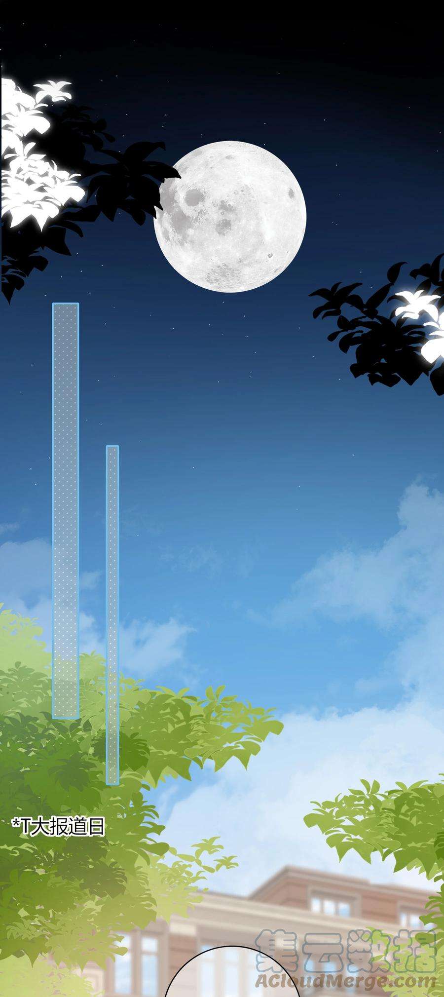 弦风在耳016 动、物、世、界