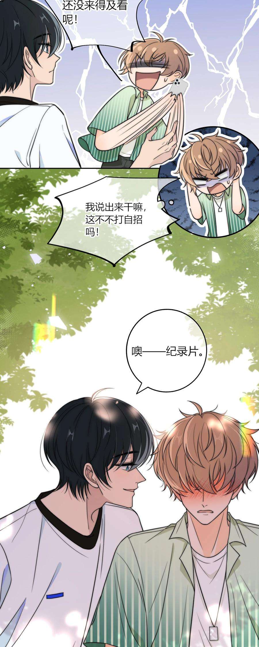 弦风在耳016 动、物、世、界