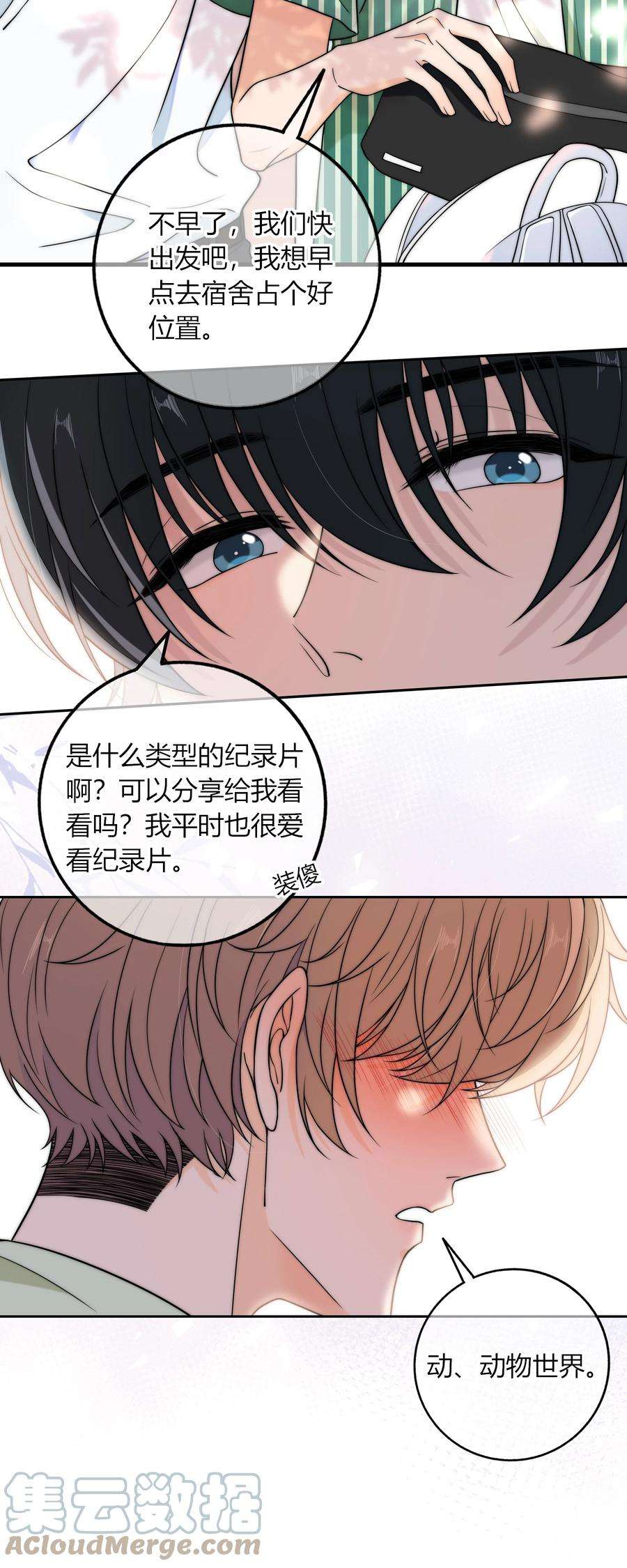 弦风在耳016 动、物、世、界