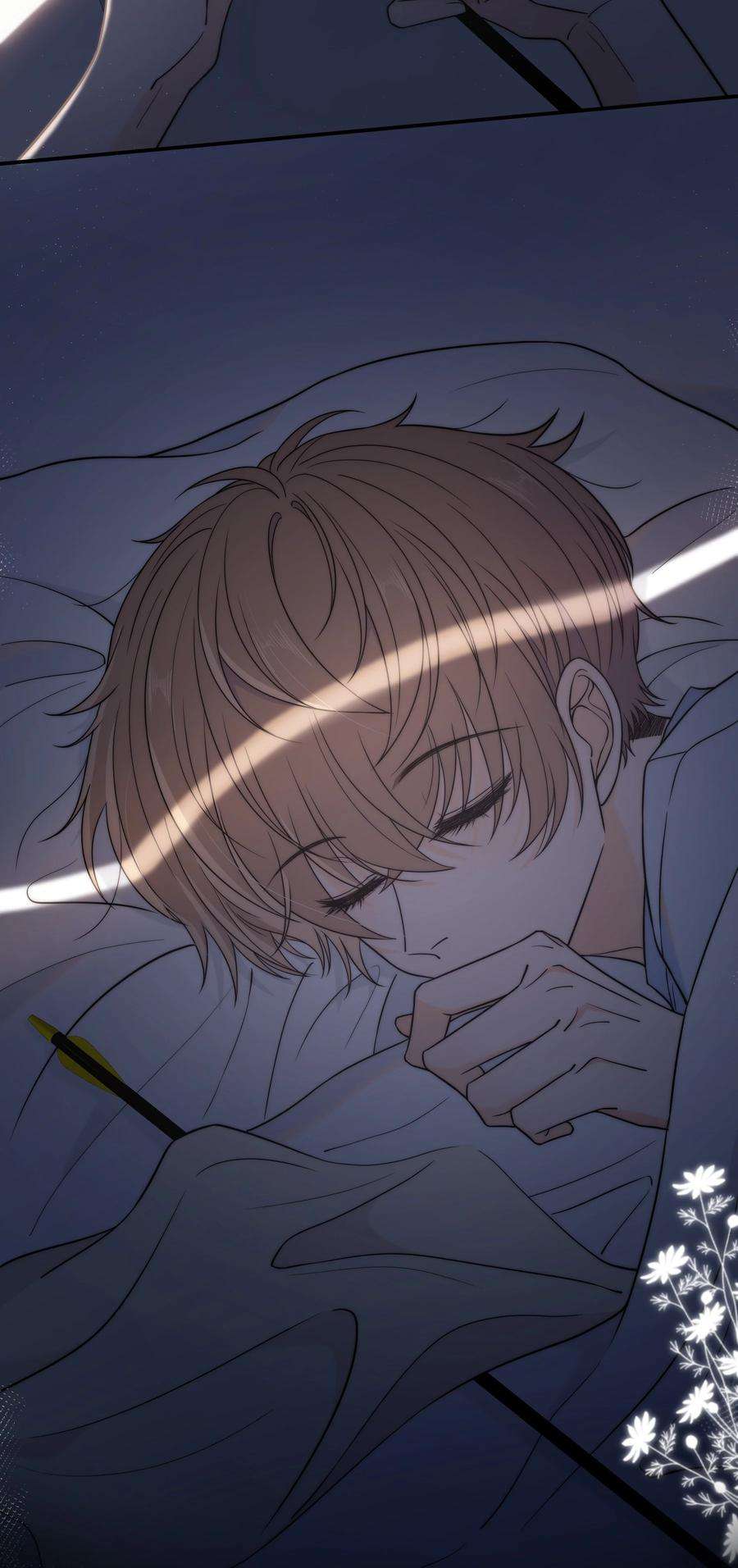 弦风在耳017 小绵羊与大绵羊