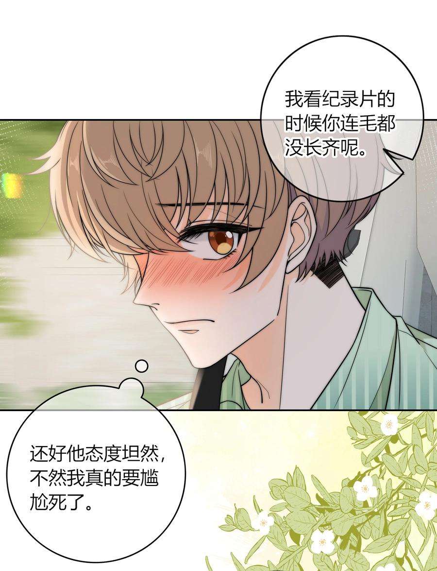 弦风在耳017 小绵羊与大绵羊