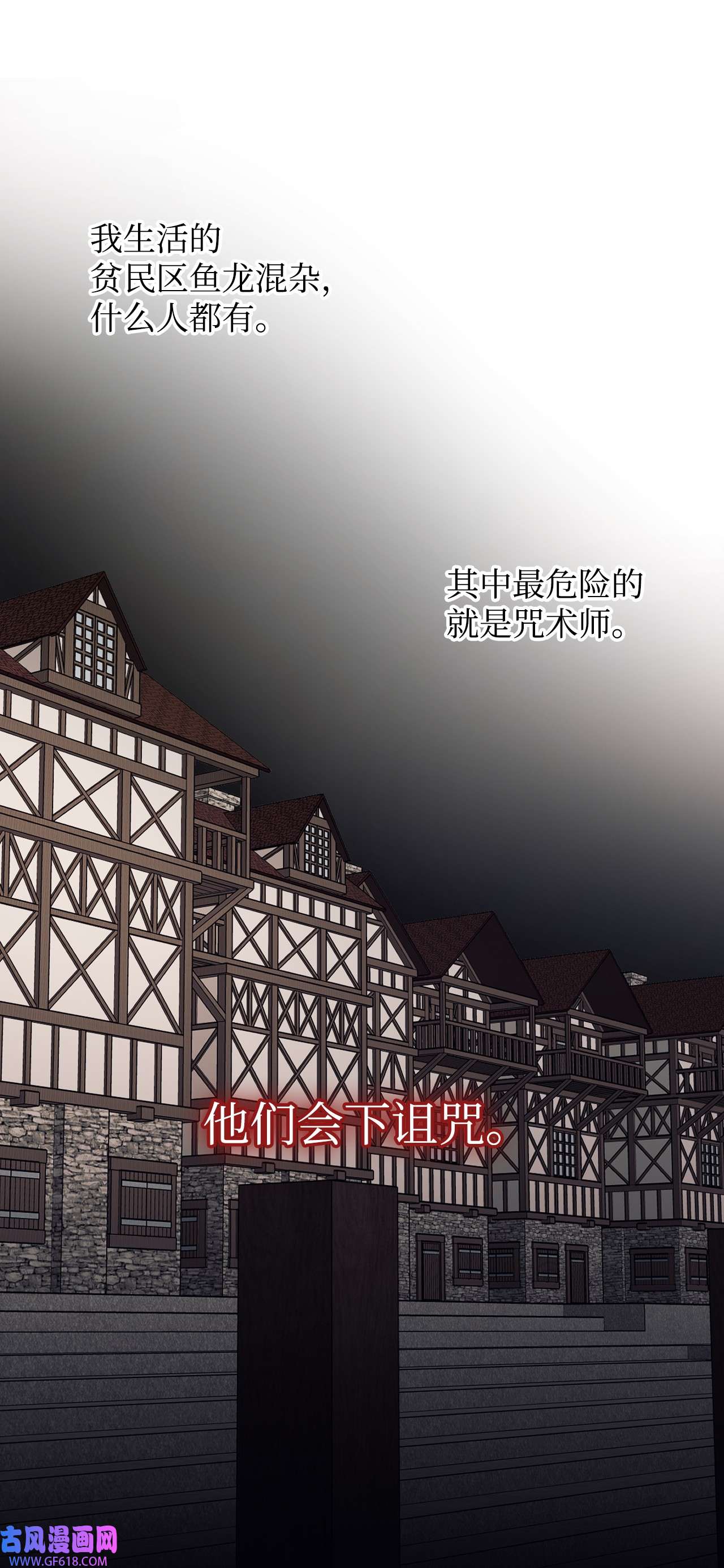 重生后，伯爵夫人要离婚！12 咒术师的诅咒