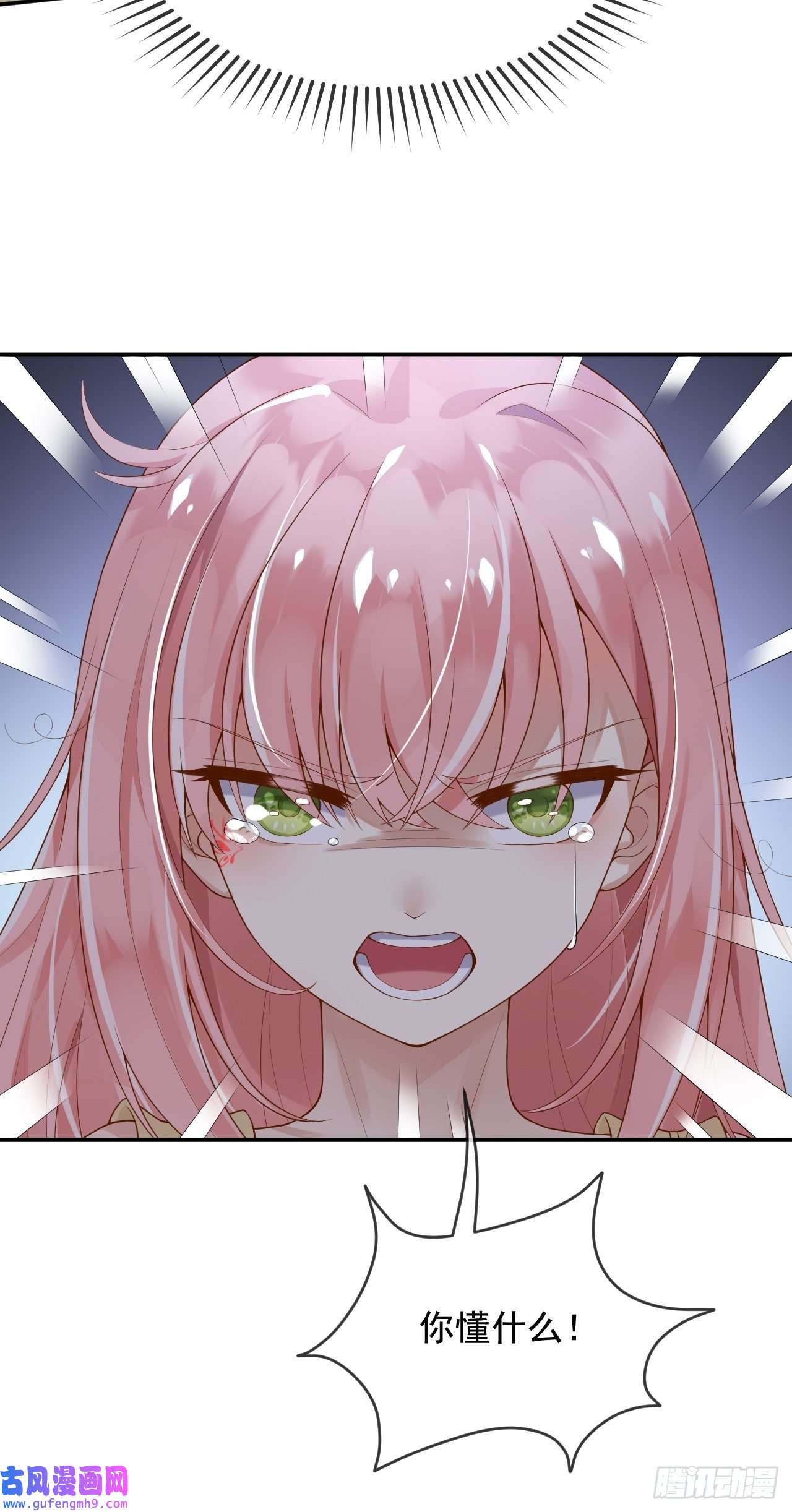 父亲大人，我才不是恶毒女配9编剧大大不见了！