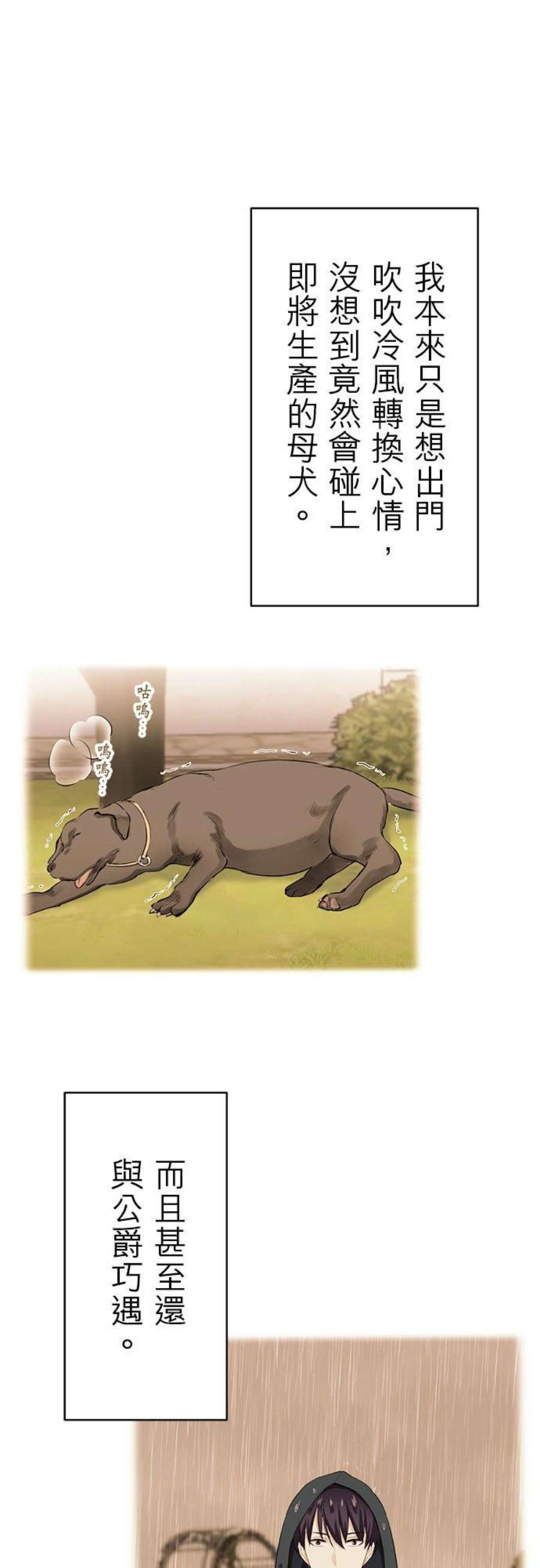 奴莉塔丝～伪装的新娘～29话：朝阳映照于妳的双颊