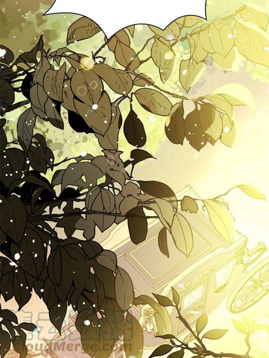 没想勾引男主20.拍卖