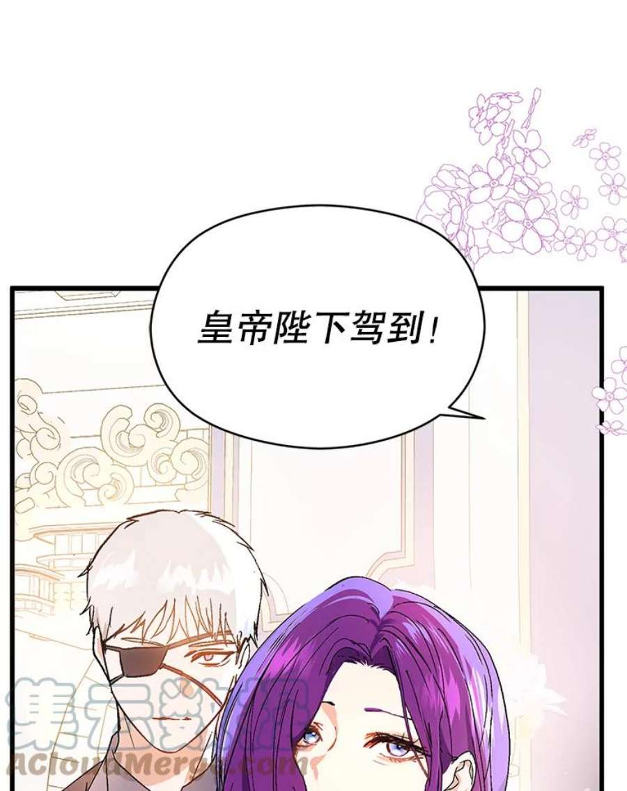 没想勾引男主41.华丽的宴会