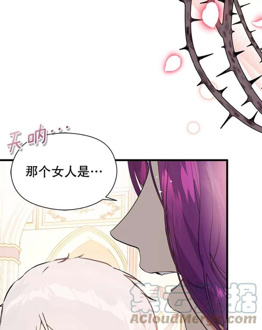 没想勾引男主41.华丽的宴会