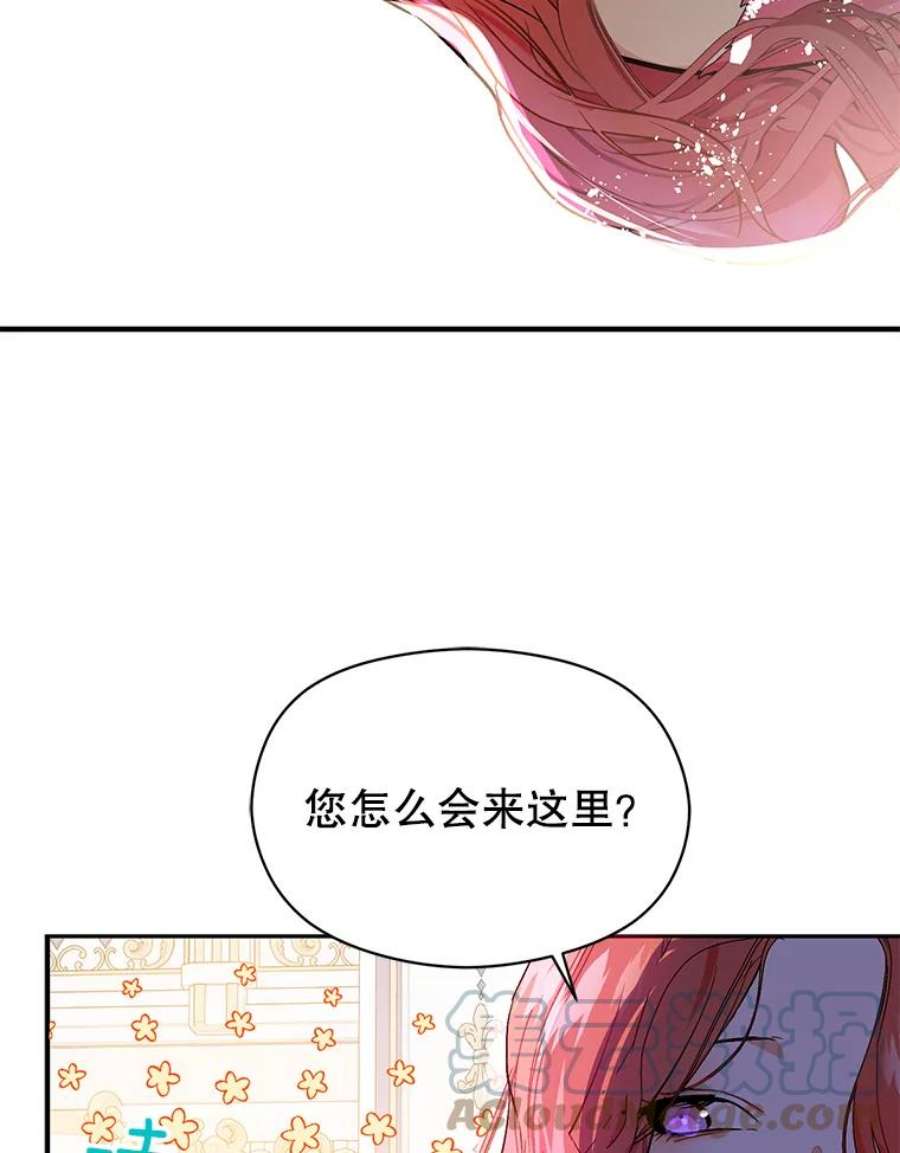 没想勾引男主41.华丽的宴会
