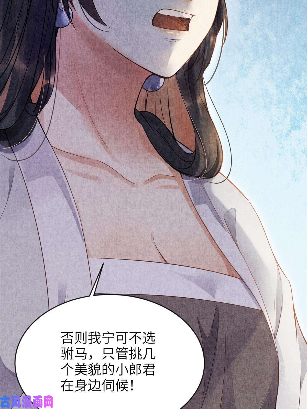 长公主她每天都想造反004 选驸马？