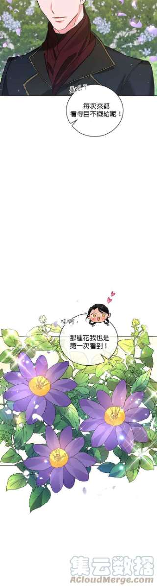 美男与野兽32话