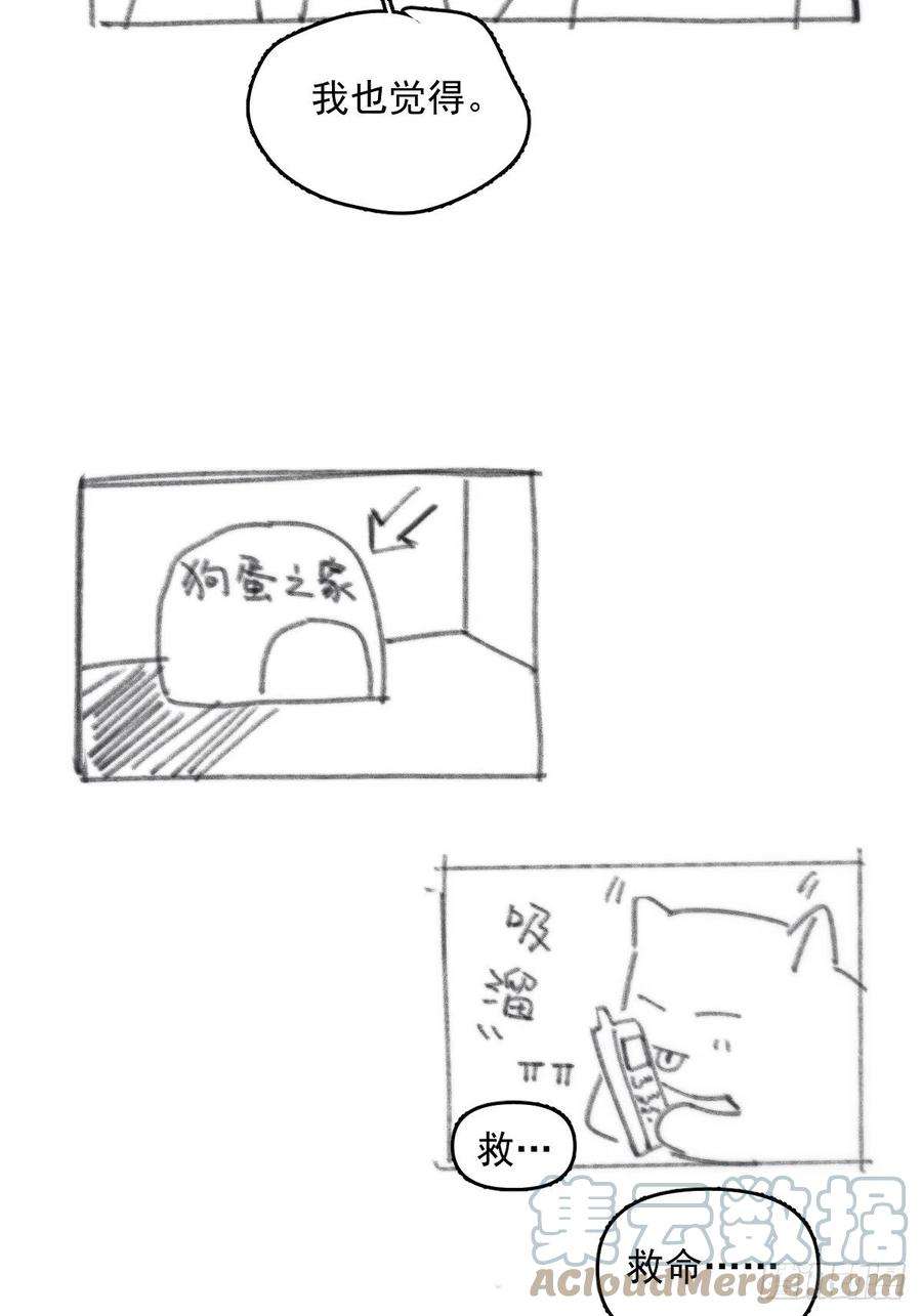 繁星告诉我13话 先叫声“哥”听听吧