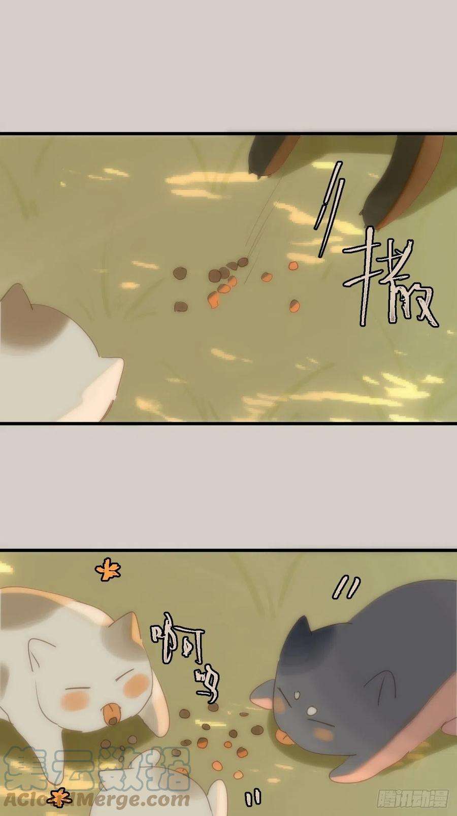 繁星告诉我17话 女人