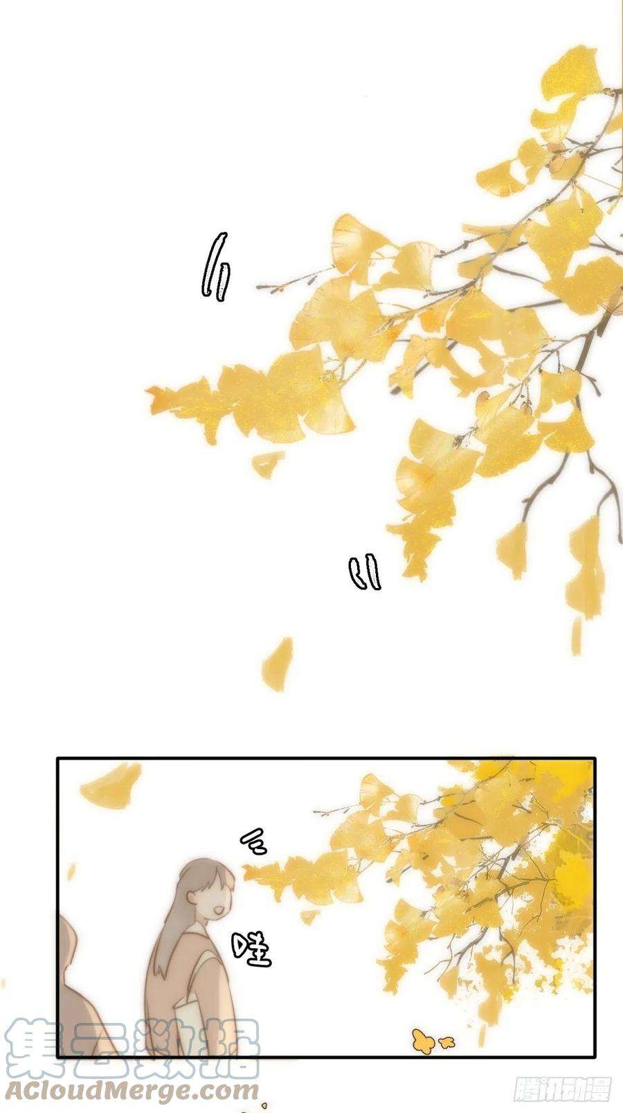 繁星告诉我22话 银杏