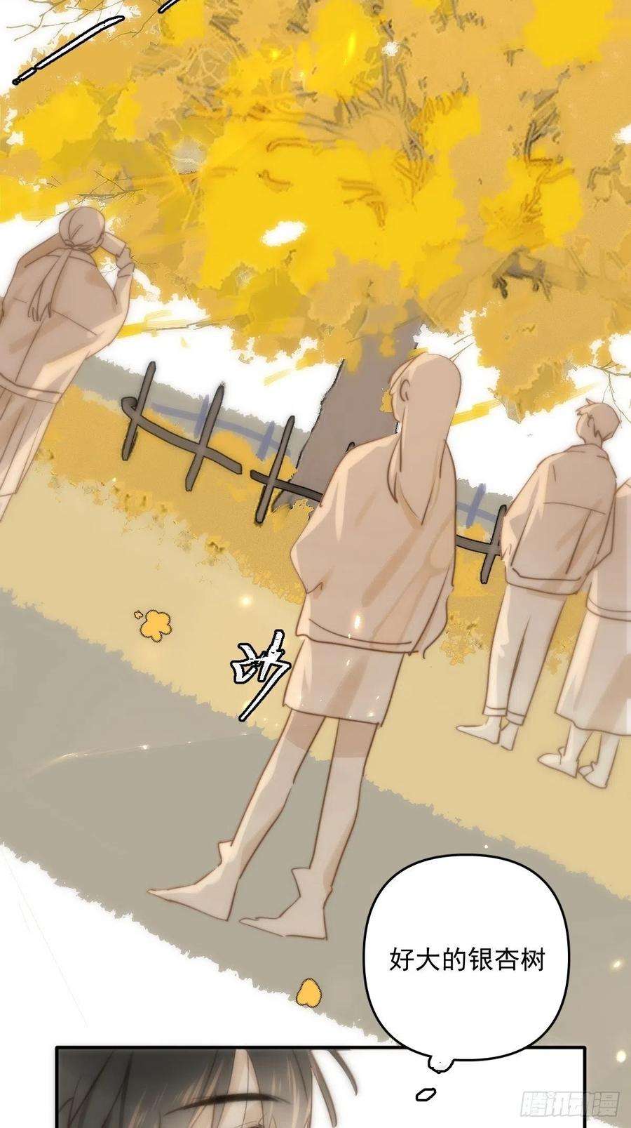 繁星告诉我22话 银杏