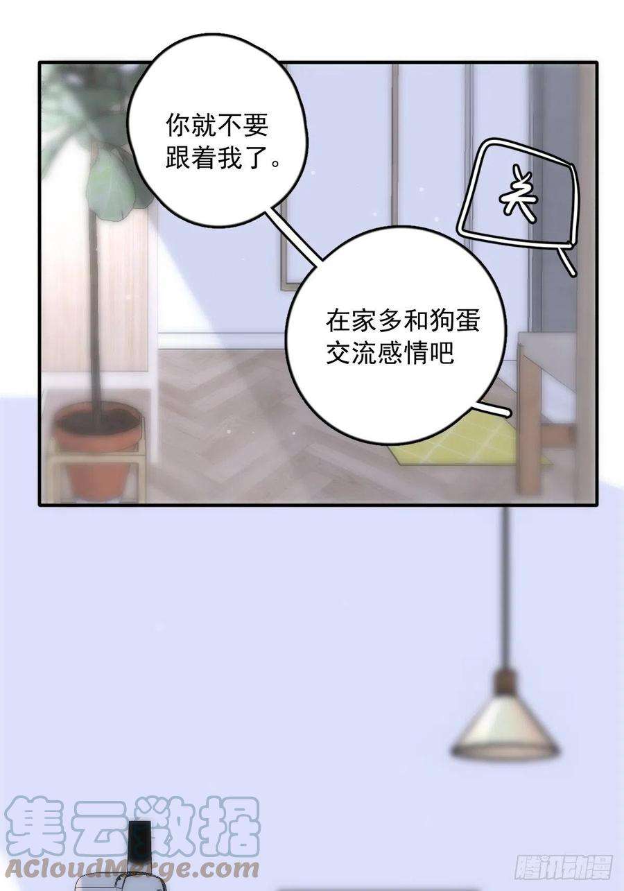 繁星告诉我34话 小白鸡找老婆