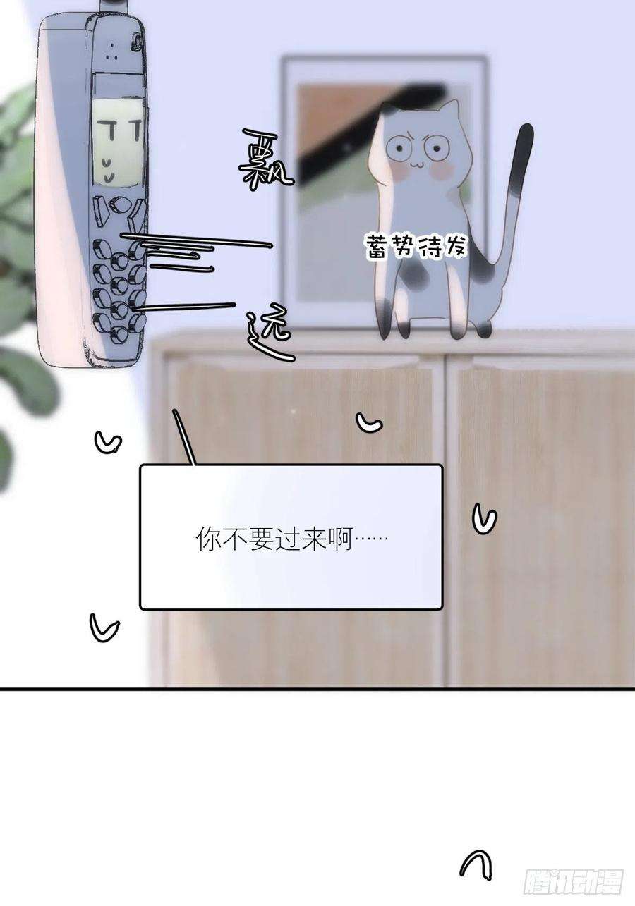 繁星告诉我34话 小白鸡找老婆