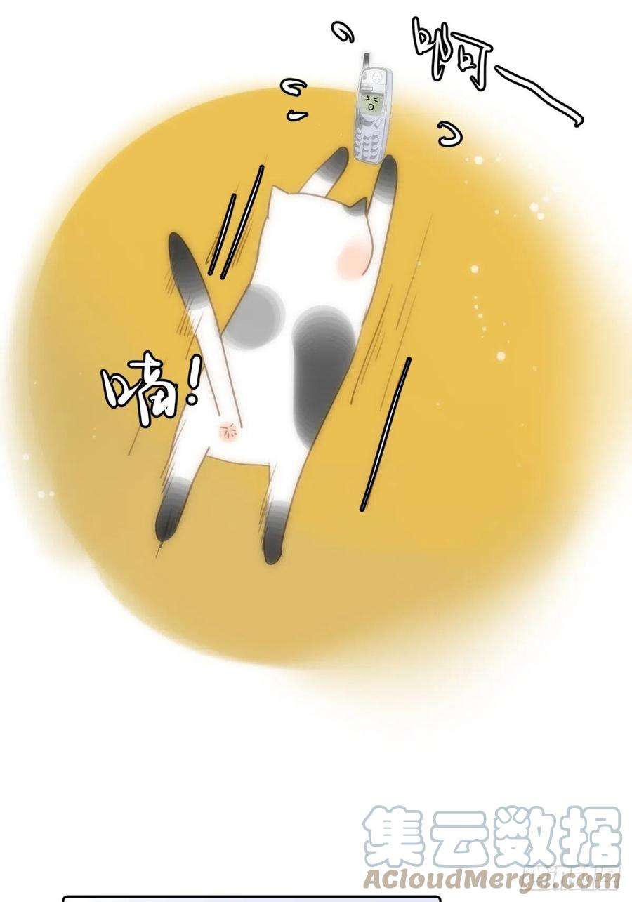 繁星告诉我34话 小白鸡找老婆